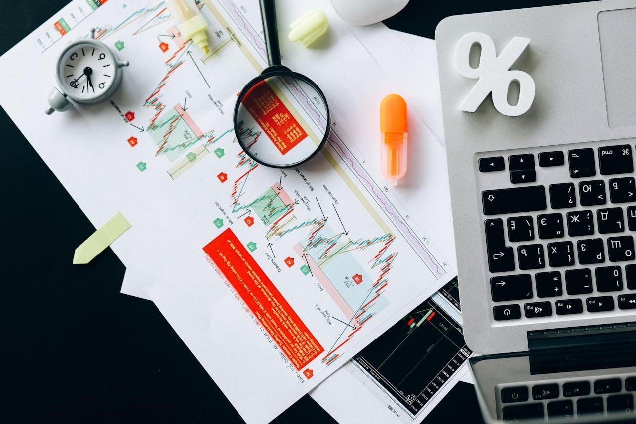 The Connection Between Financial Insight and Sustainable Growth